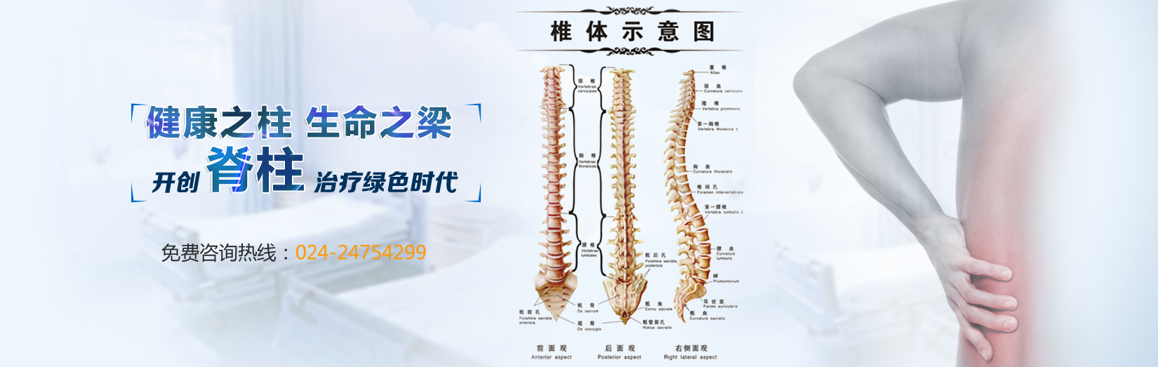 沈阳金辉脊柱_金辉脊柱_沈阳腰脱治疗_沈阳颈肩痛_沈阳整脊培训_沈阳疑难病巧治_沈阳正骨培训_沈阳颈肩病治疗