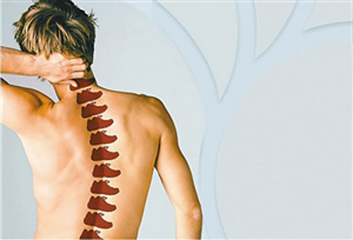 沈阳金辉脊柱_金辉脊柱_沈阳腰脱治疗_沈阳颈肩痛_沈阳整脊培训_沈阳疑难病巧治_沈阳正骨培训_沈阳颈肩病治疗