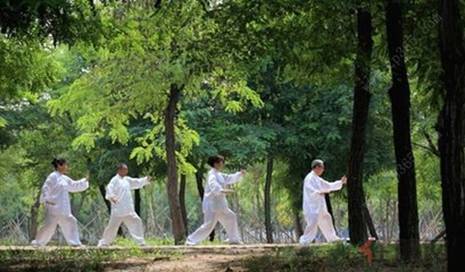 沈阳金辉脊柱_金辉脊柱_沈阳腰脱治疗_沈阳颈肩痛_沈阳整脊培训_沈阳疑难病巧治_沈阳正骨培训_沈阳颈肩病治疗